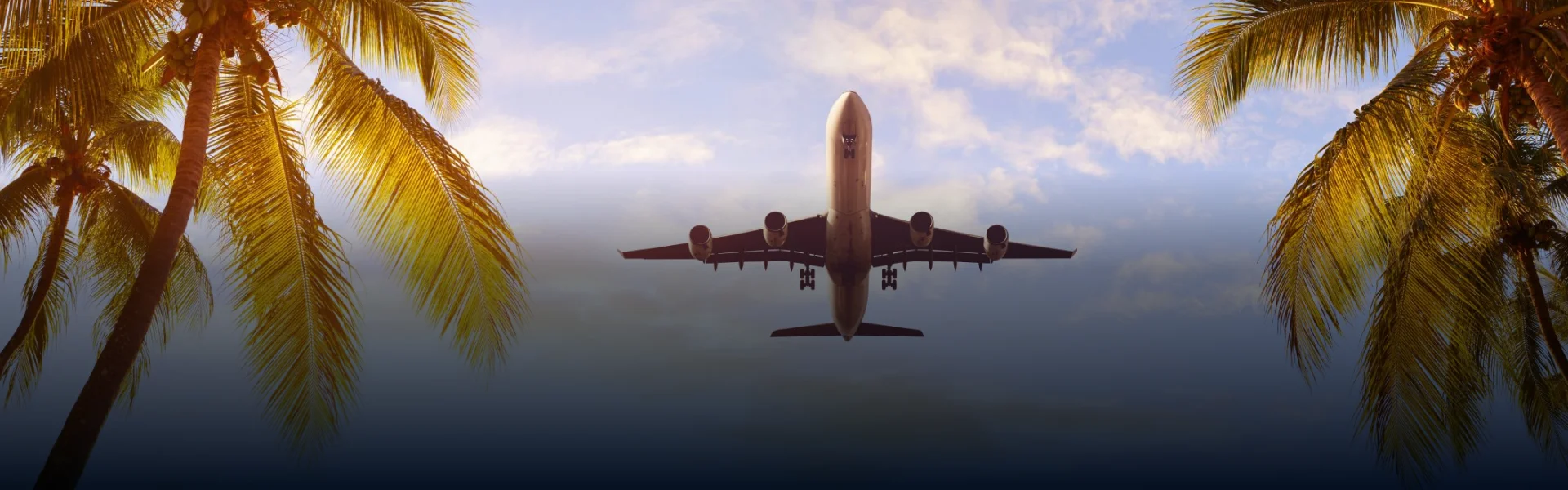 Airport Transfer