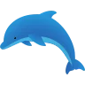 Dolphin Watching Tours