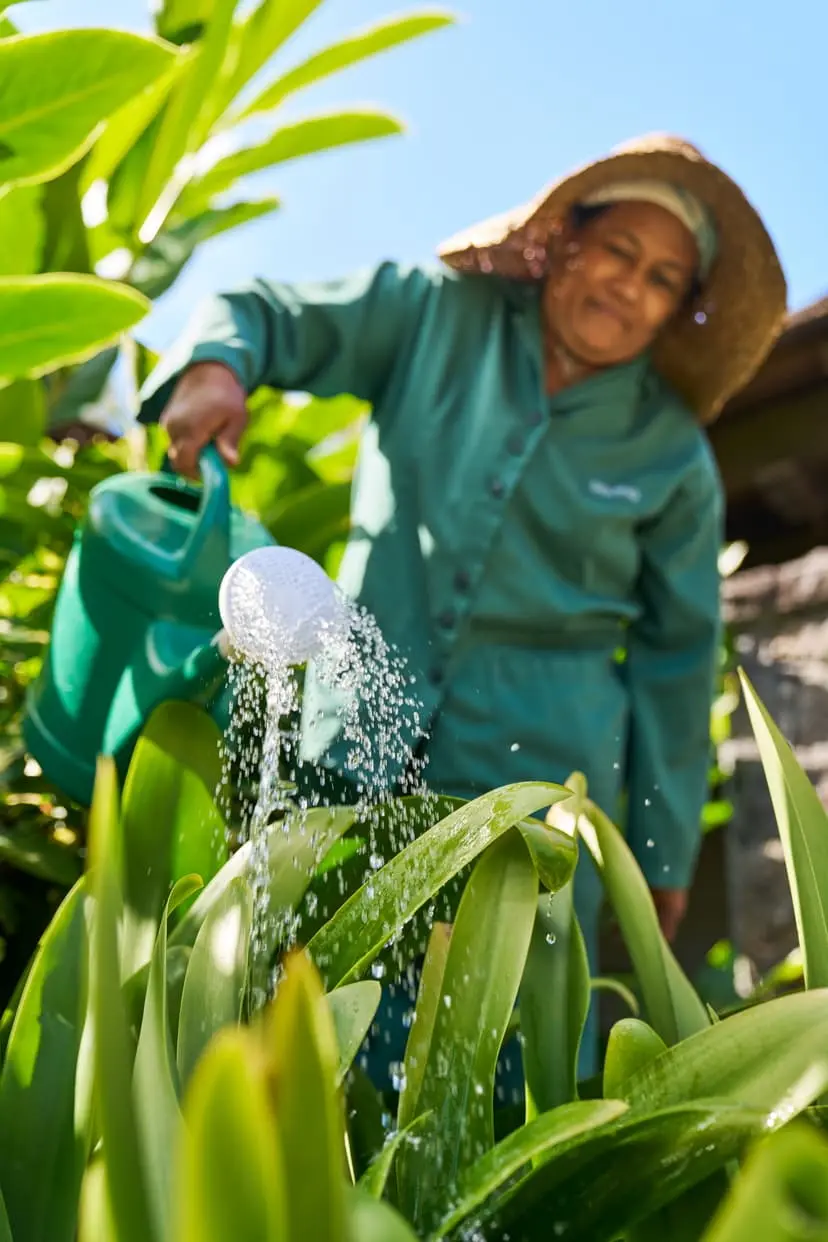 Sustainability Initiatives