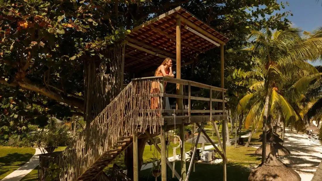 Breakfast in the Tree House