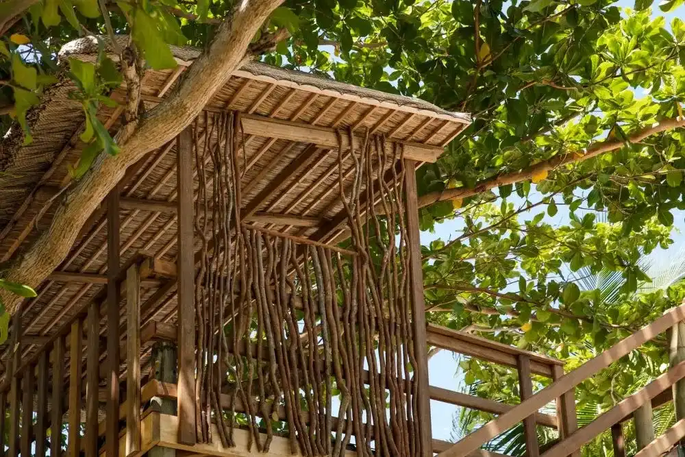 BREAKFAST IN A TREE HOUSE