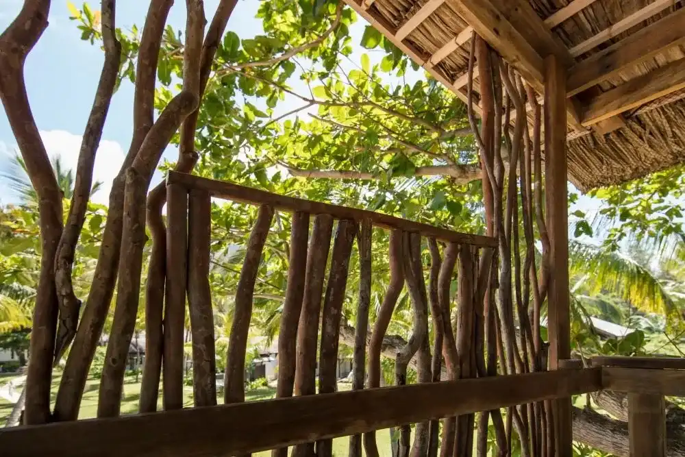 Breakfast in the Tree House