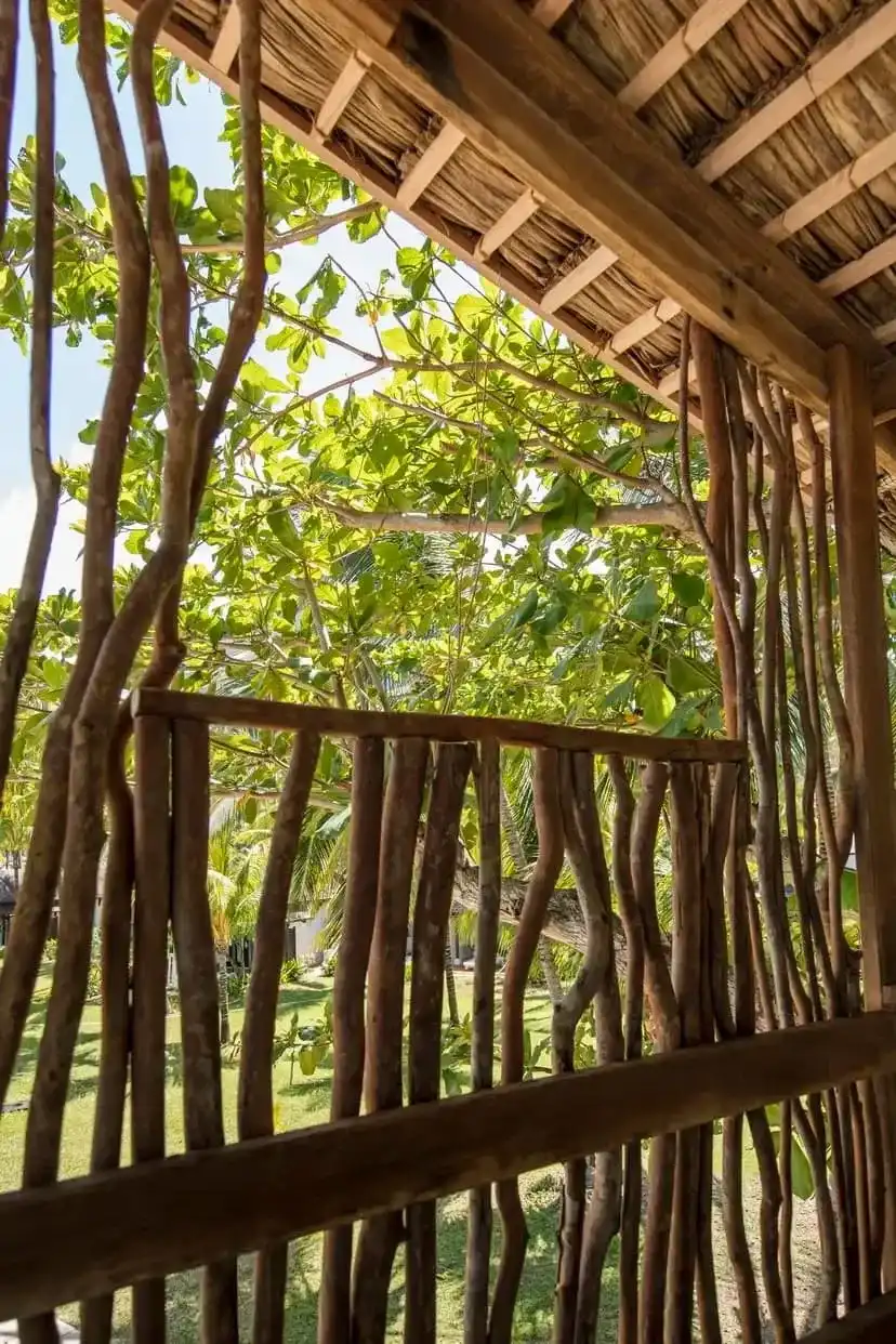 Breakfast in the Tree House