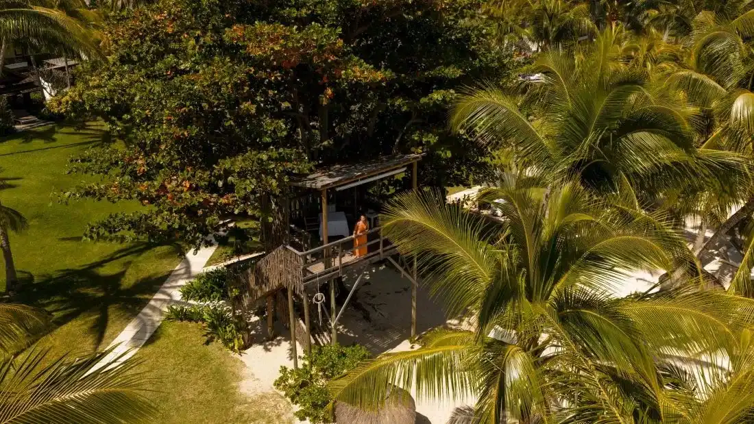 Breakfast in the Tree House