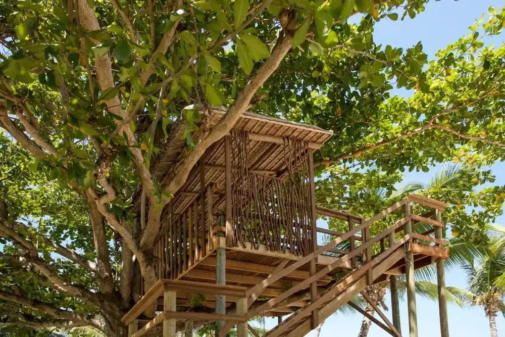 Breakfast in the Tree House