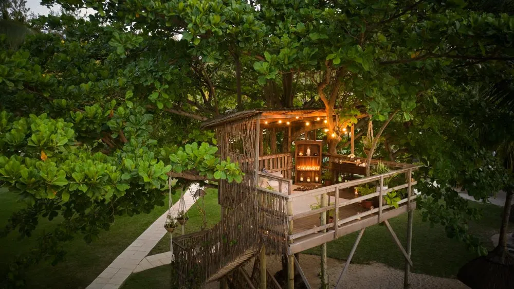 Cinema Paradiso in the Tree House