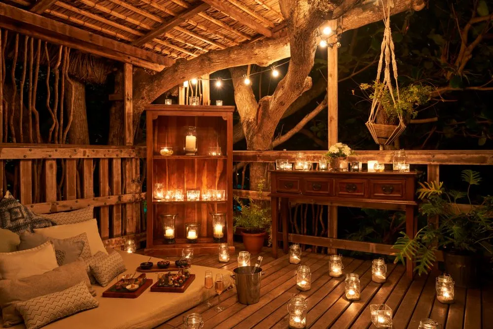 Cinema Paradiso in the Tree House